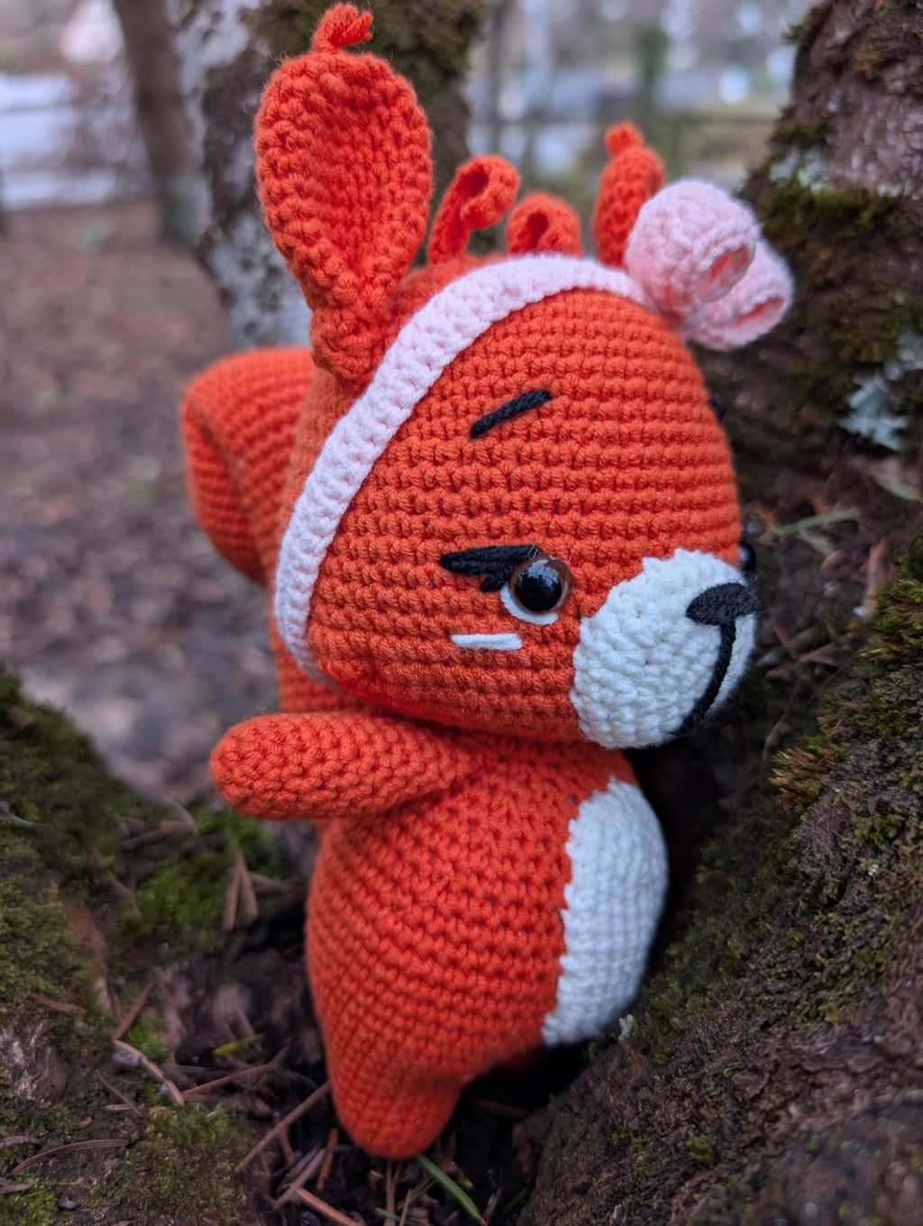 Coffret "Canelle l'Ecureuil"