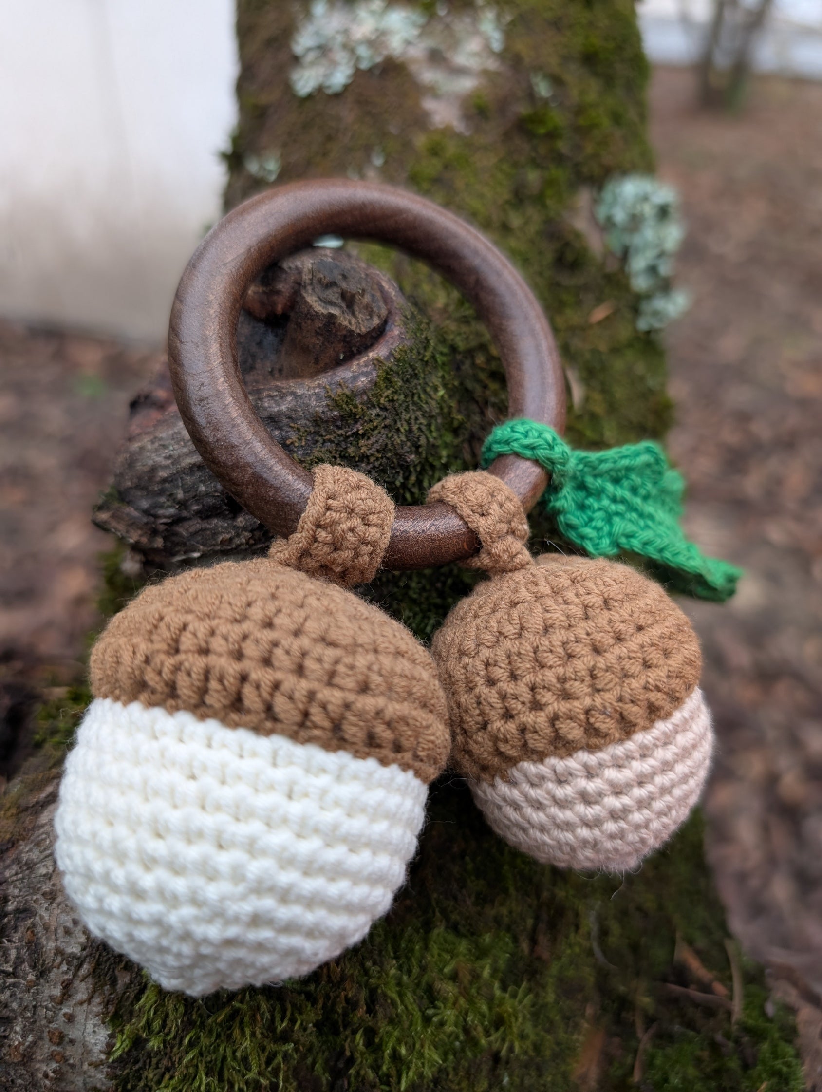 Coffret "Canelle l'Ecureuil"