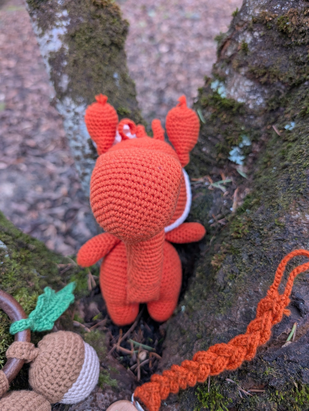 Coffret "Canelle l'Ecureuil"