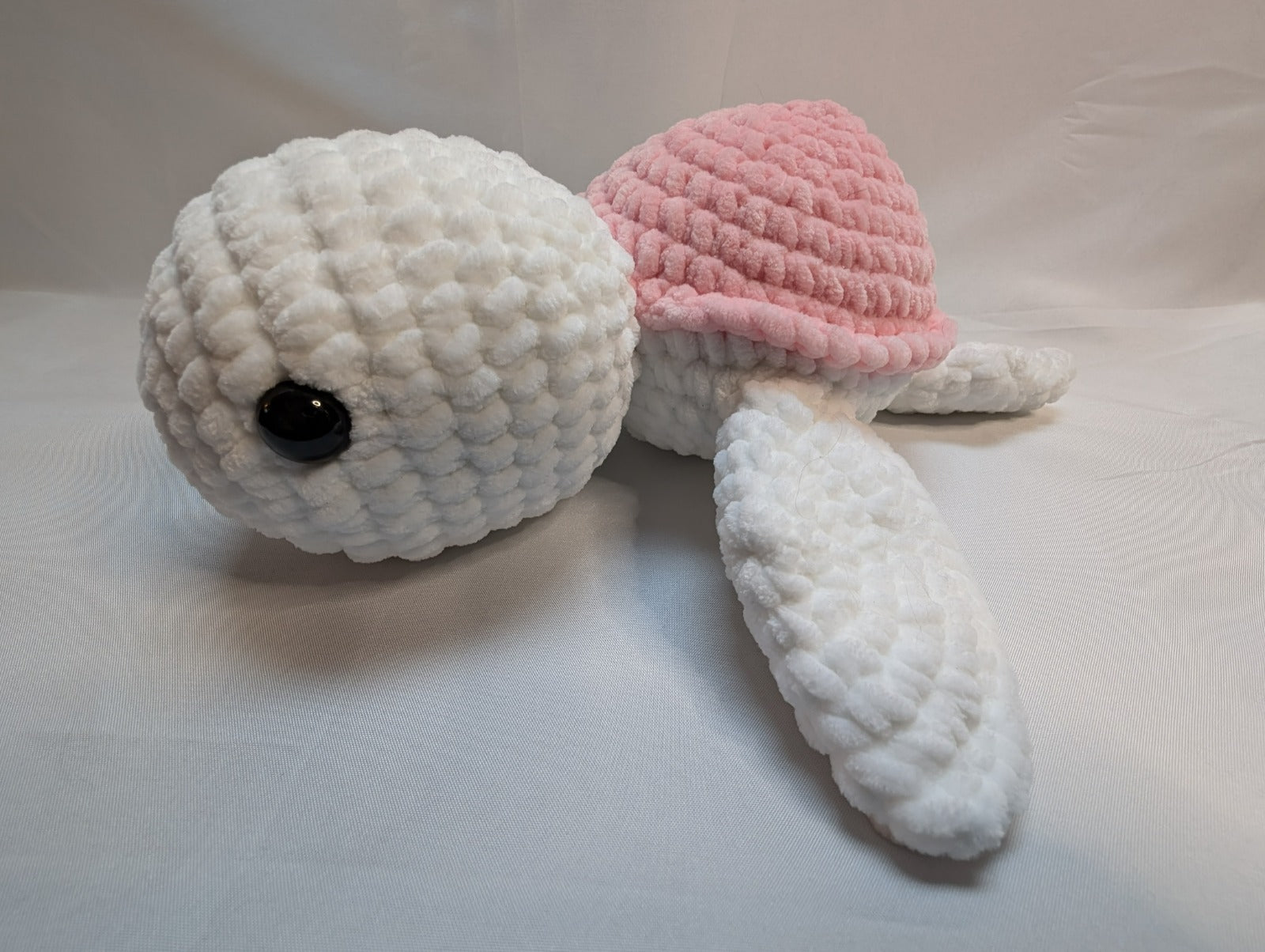 🐢 Coffret « Premiers Rivages »