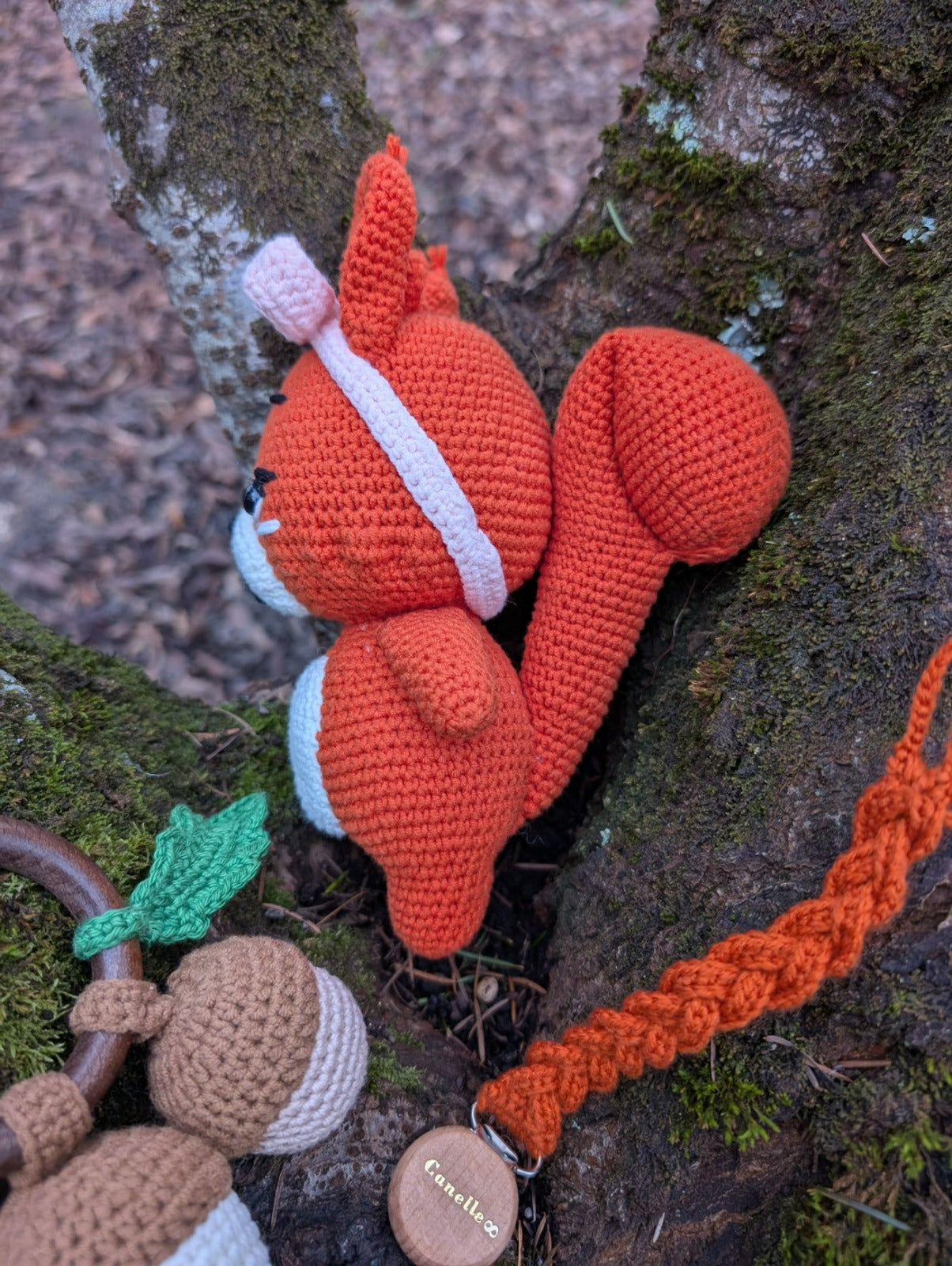 Coffret Canelle l'écureuil - naissance - Fait main