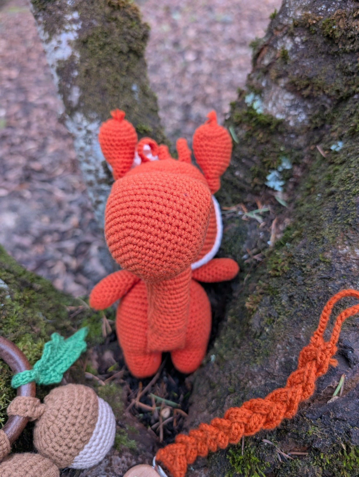 Coffret Canelle l'écureuil - naissance - Fait main