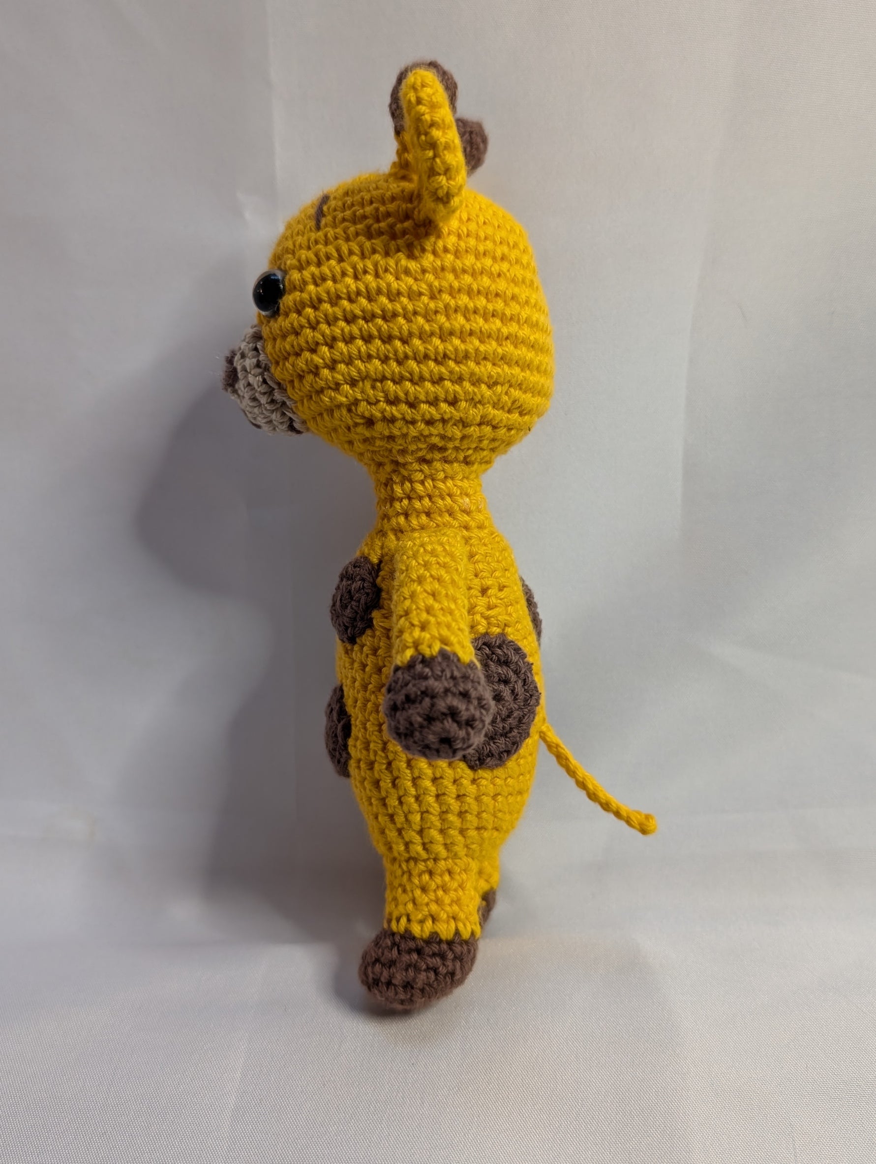 Coffret "Premier Pas au Safari"