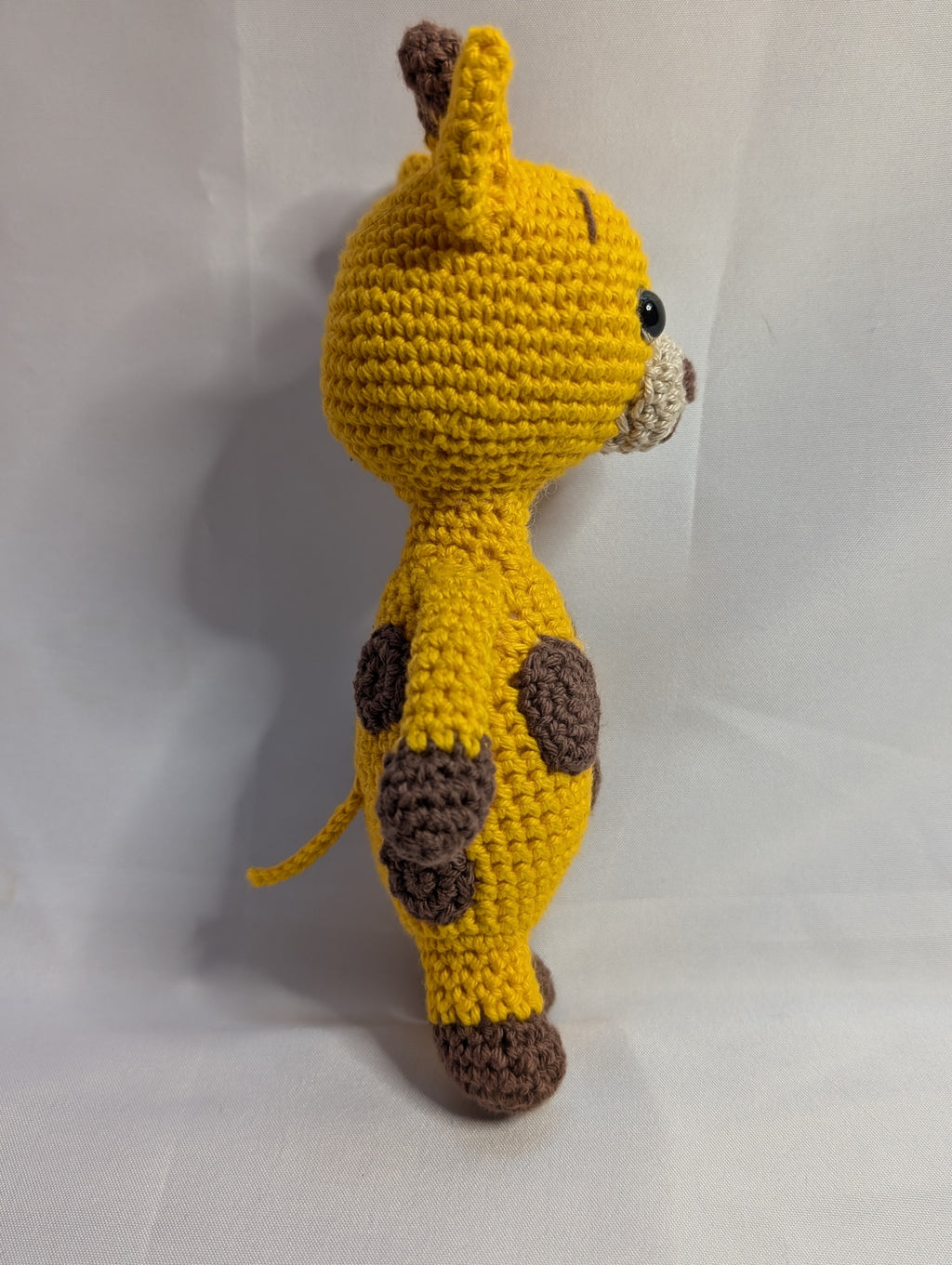 Coffret "Premier Pas au Safari"