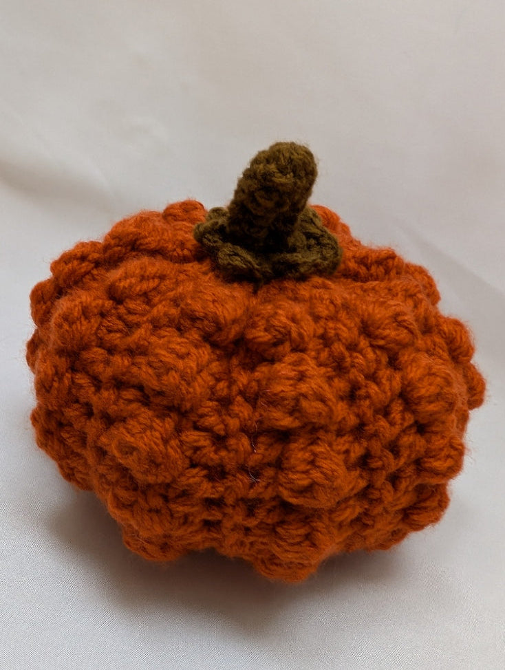 Citrouille velours d'Automne