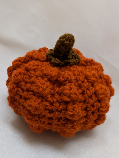 Citrouille velours d'Automne