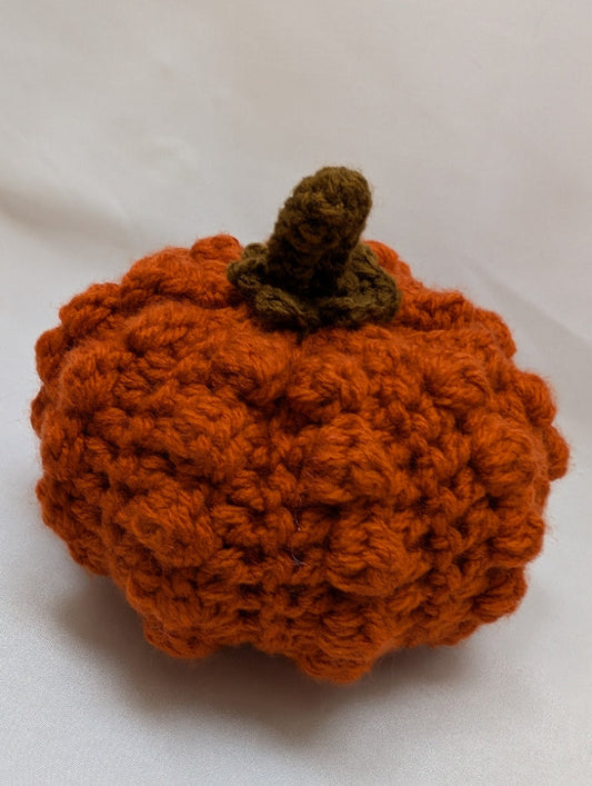 Citrouille velours d'Automne