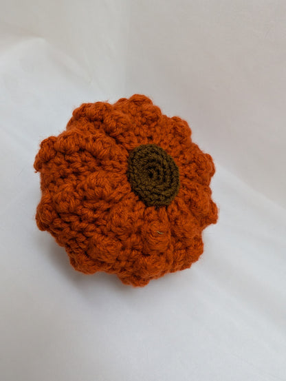 Citrouille velours d'Automne