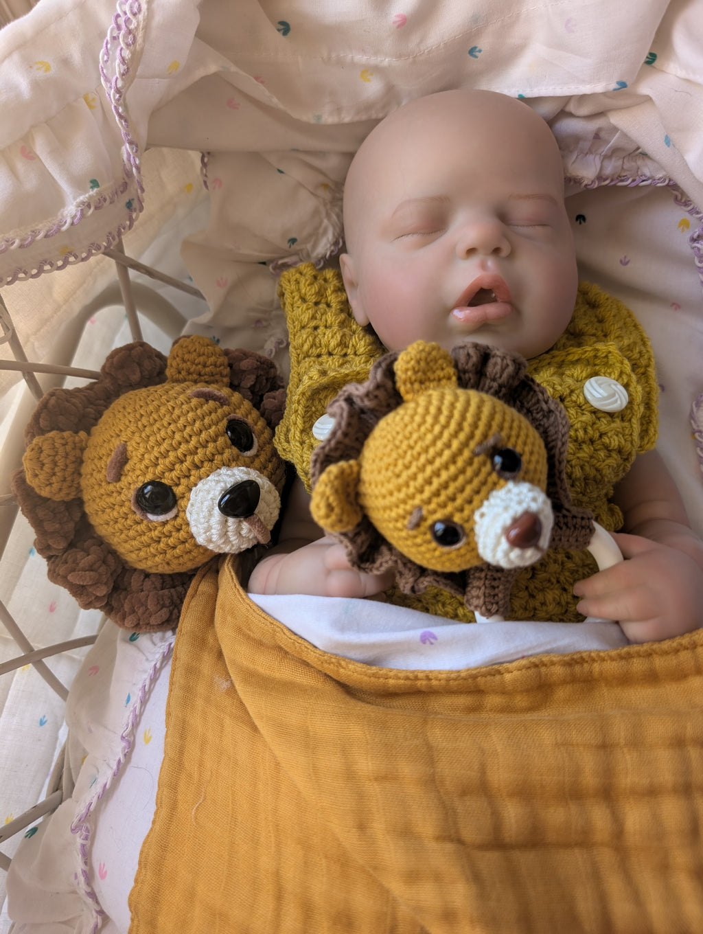 Coffret "Terence le Lion"