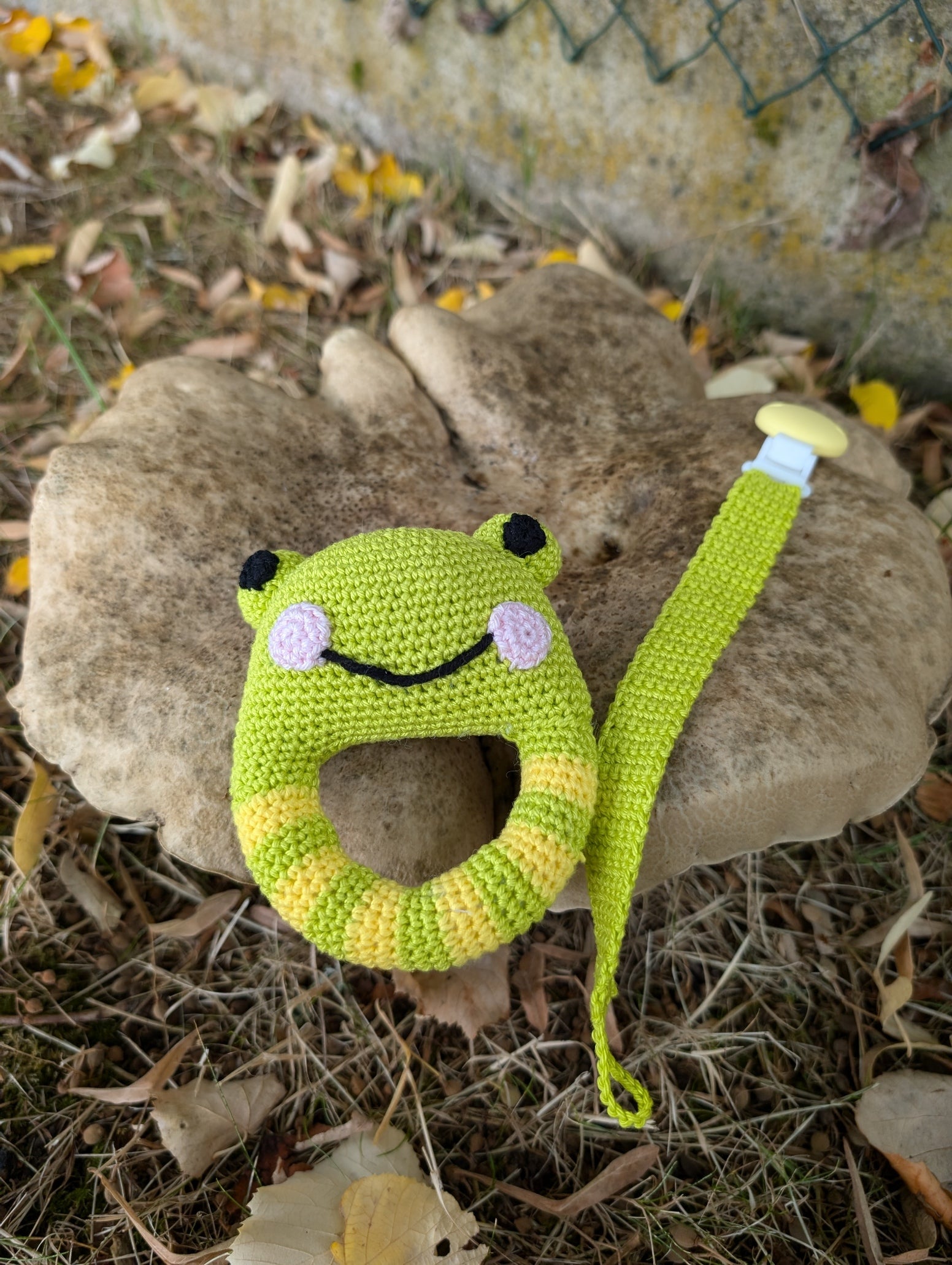 Coffret "Rainette la Grenouille"