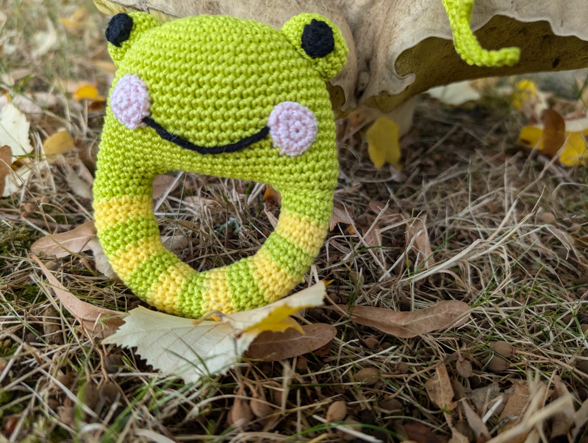 Coffret "Rainette la Grenouille"