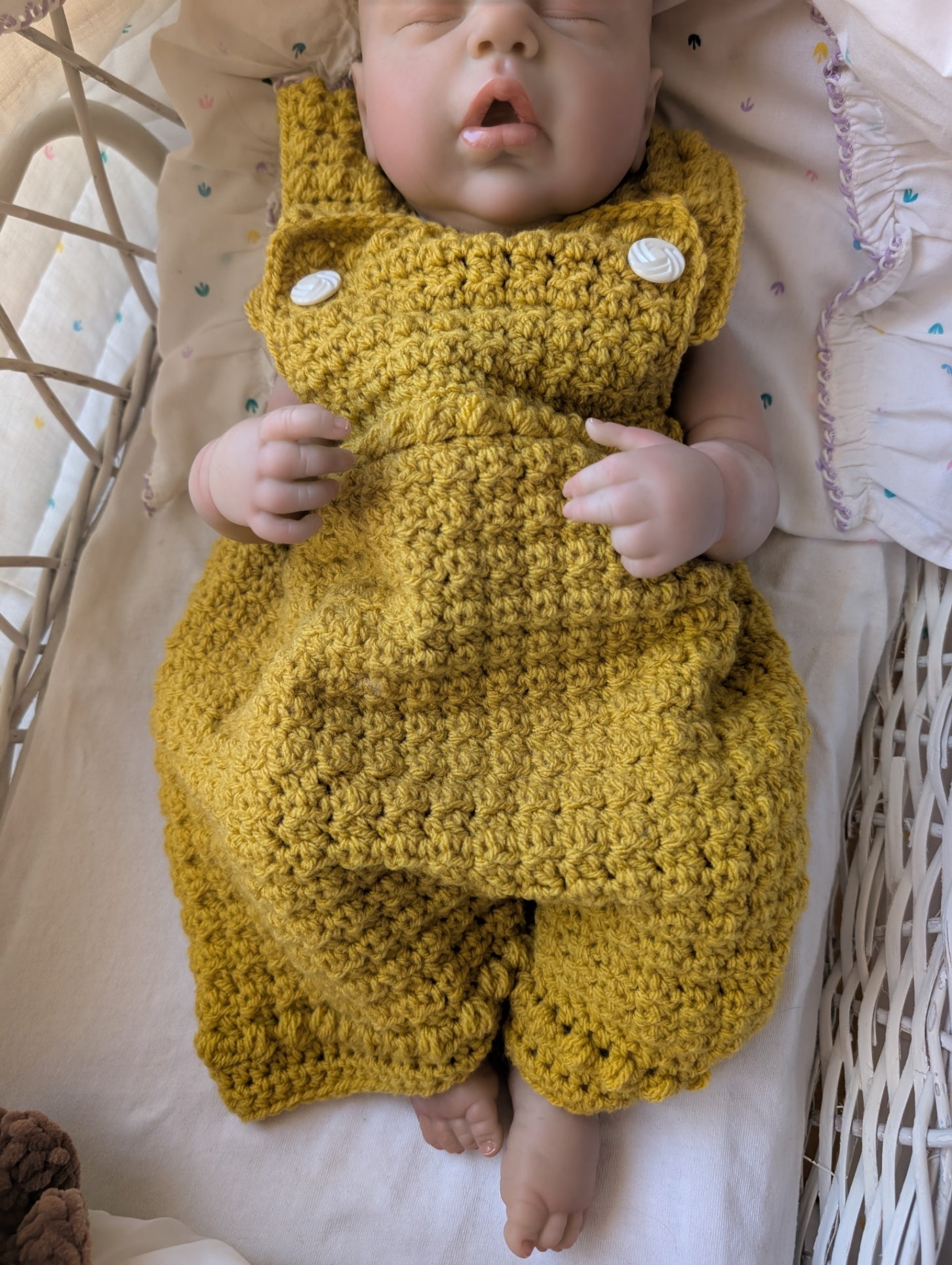 Coffret "Terence le Lion"