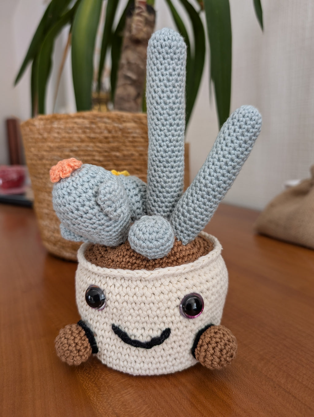 Coffret "Pico, Verdi et Cactoface"