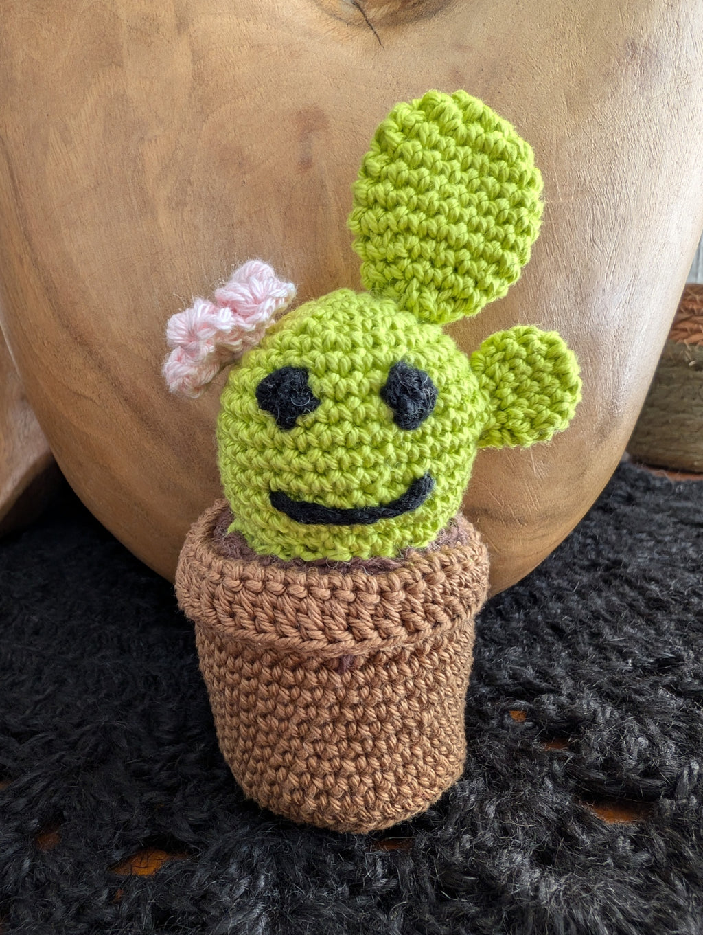 Coffret "Pico, Verdi et Cactoface"