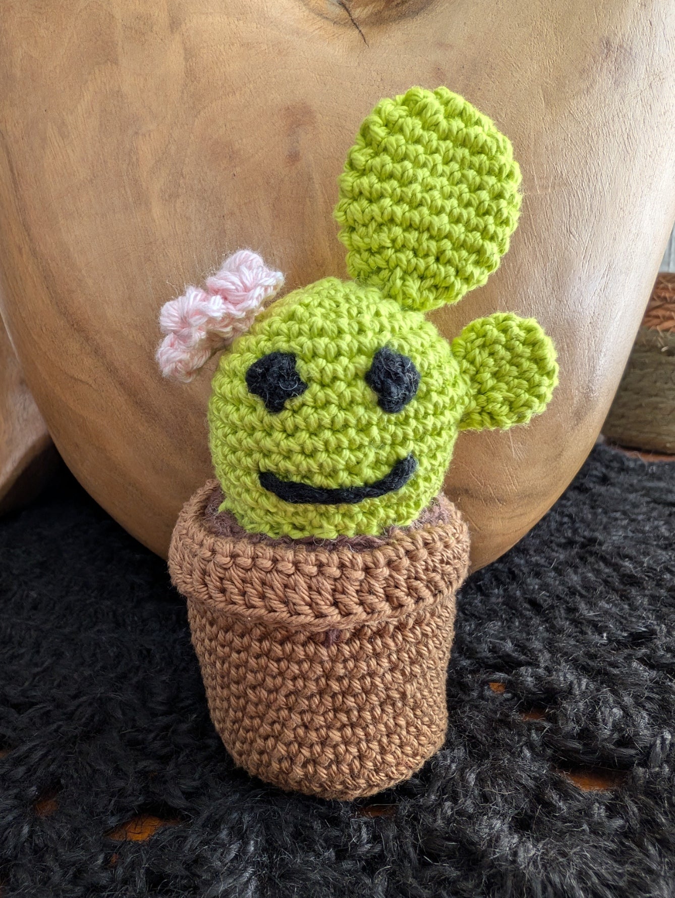 Coffret "Pico, Verdi et Cactoface"