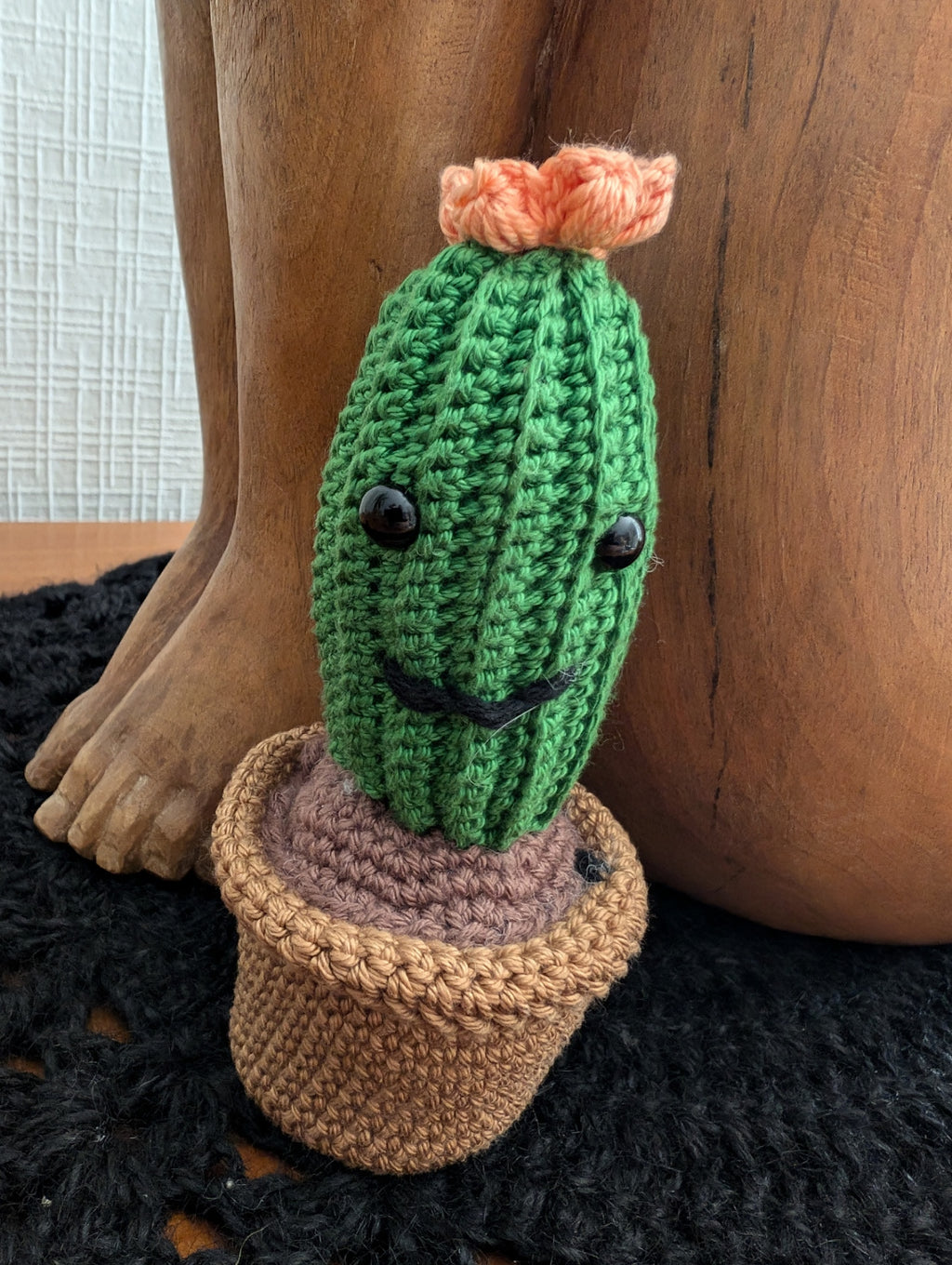 Coffret "Pico, Verdi et Cactoface"