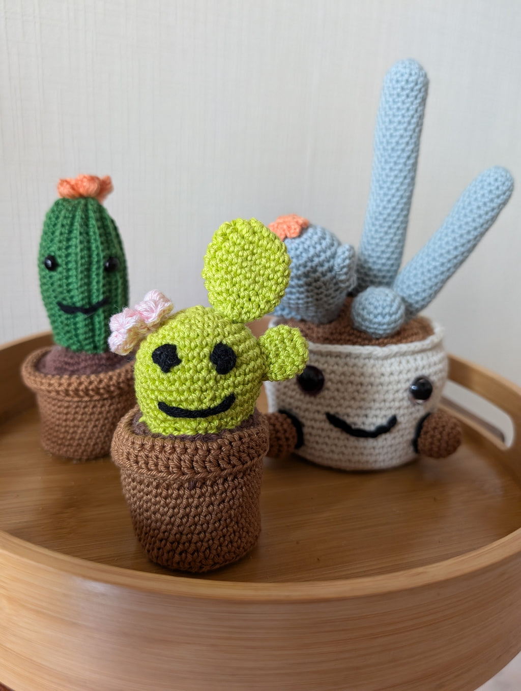 Coffret "Pico, Verdi et Cactoface"