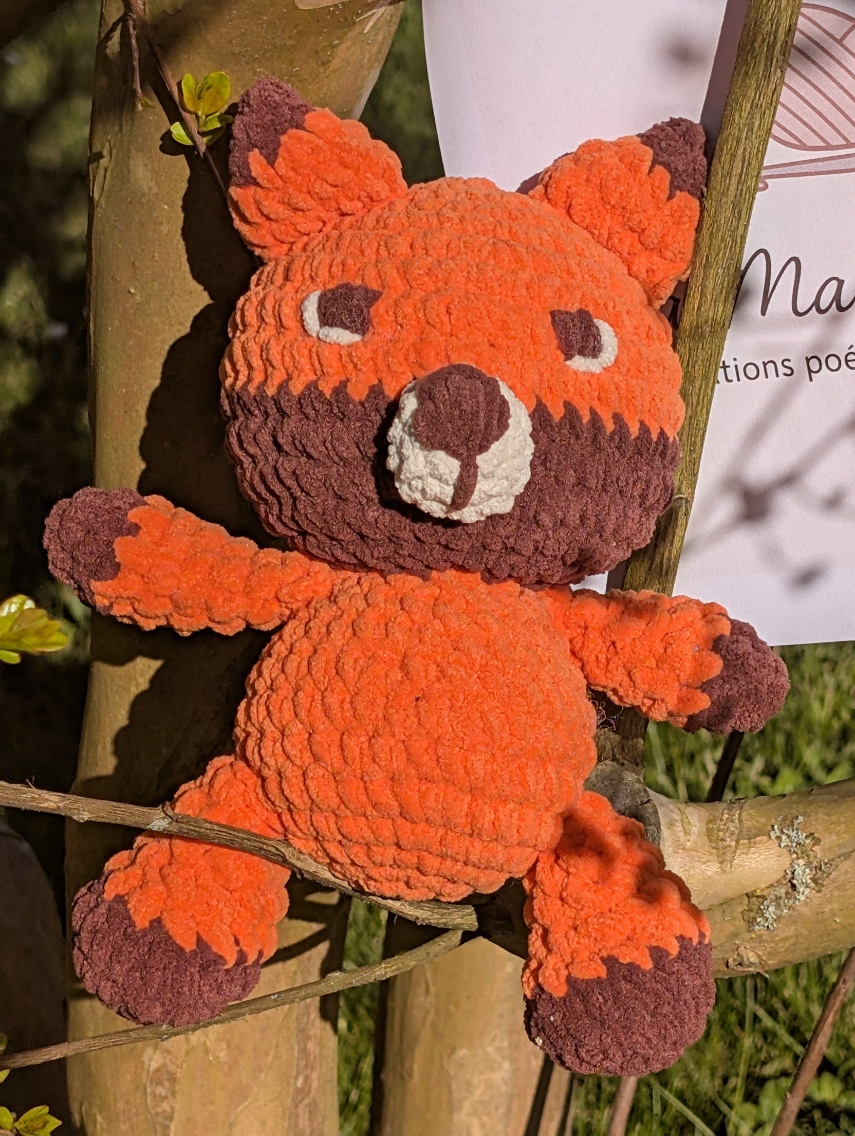 Coffret "Petit Rusé"